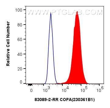 Flow cytometry (FC) experiment of HeLa cells using COPA Recombinant antibody (83089-2-RR)