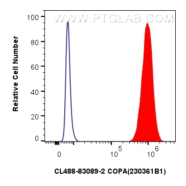 Flow cytometry (FC) experiment of HeLa cells using CoraLite® Plus 488-conjugated COPA Recombinant ant (CL488-83089-2)