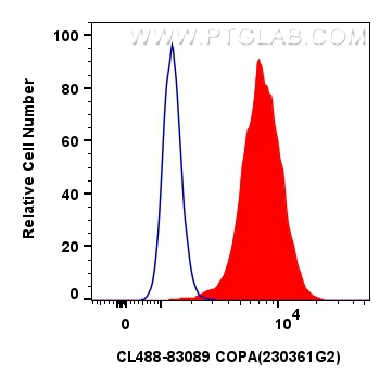 Flow cytometry (FC) experiment of HeLa cells using CoraLite® Plus 488-conjugated COPA Recombinant ant (CL488-83089)