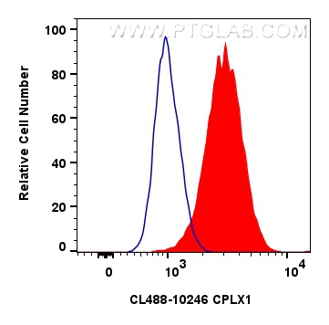 Flow cytometry (FC) experiment of SH-SY5Y cells using CoraLite® Plus 488-conjugated CPLX1 Polyclonal ant (CL488-10246)