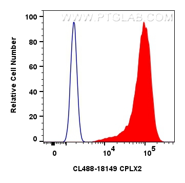 Flow cytometry (FC) experiment of A549 cells using CoraLite® Plus 488-conjugated CPLX2 Polyclonal ant (CL488-18149)