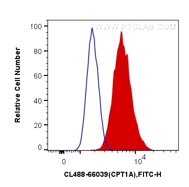 Flow cytometry (FC) experiment of HeLa cells using CoraLite® Plus 488-conjugated CPT1A Monoclonal ant (CL488-66039)