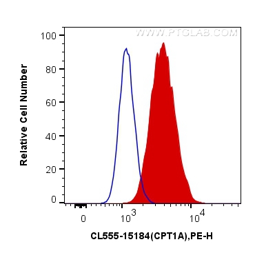 Flow cytometry (FC) experiment of HeLa cells using CoraLite®555-conjugated CPT1A Polyclonal antibody (CL555-15184)
