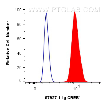 Flow cytometry (FC) experiment of HEK-293 cells using CREB1 Monoclonal antibody (67927-1-Ig)