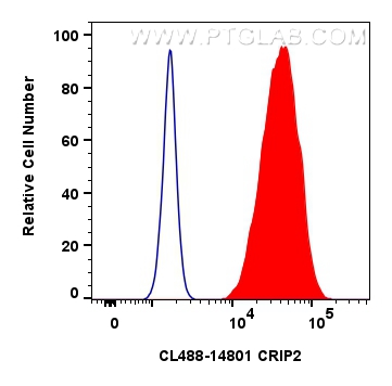 Flow cytometry (FC) experiment of hela cells using CoraLite® Plus 488-conjugated CRIP2 Polyclonal ant (CL488-14801)