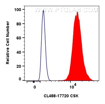 Flow cytometry (FC) experiment of A431 cells using CoraLite® Plus 488-conjugated CSK Polyclonal antib (CL488-17720)