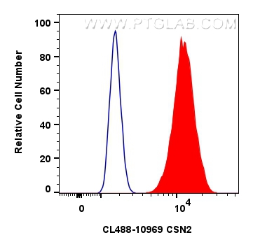 Flow cytometry (FC) experiment of HeLa cells using CoraLite® Plus 488-conjugated CSN2 Polyclonal anti (CL488-10969)