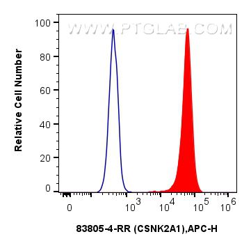 Flow cytometry (FC) experiment of Jurkat cells using CSNK2A1 Recombinant antibody (83805-4-RR)