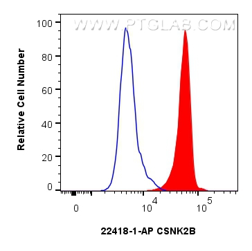 Flow cytometry (FC) experiment of HeLa cells using CSNK2B Polyclonal antibody (22418-1-AP)