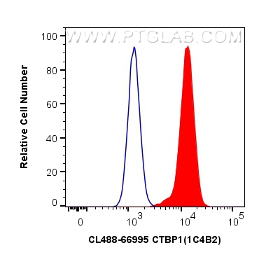 Flow cytometry (FC) experiment of HepG2 cells using CoraLite® Plus 488-conjugated CTBP1 Monoclonal ant (CL488-66995)