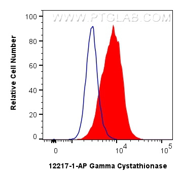 Flow cytometry (FC) experiment of MCF-7 cells using Gamma Cystathionase Polyclonal antibody (12217-1-AP)