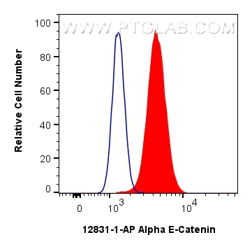 Flow cytometry (FC) experiment of MCF-7 cells using Alpha E-Catenin Polyclonal antibody (12831-1-AP)