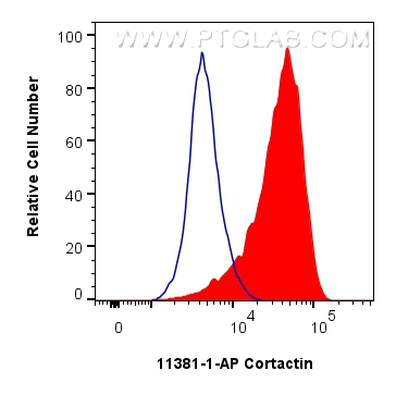 Flow cytometry (FC) experiment of HeLa cells using Cortactin Polyclonal antibody (11381-1-AP)