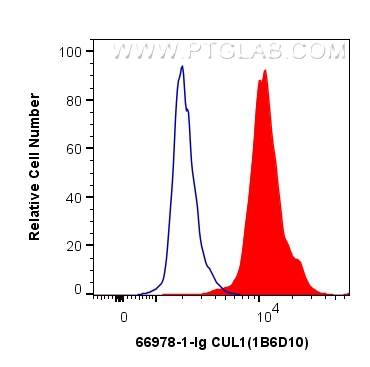 Flow cytometry (FC) experiment of HEK-293 cells using CUL1 Monoclonal antibody (66978-1-Ig)
