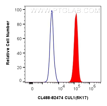 Flow cytometry (FC) experiment of HeLa cells using CoraLite® Plus 488-conjugated CUL1 Recombinant ant (CL488-82474)