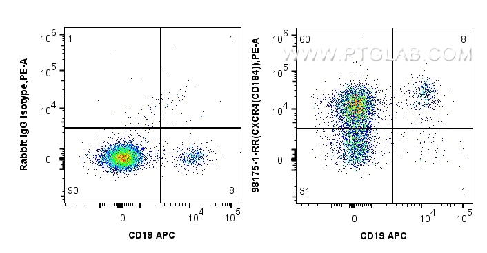 Flow cytometry (FC) experiment of human PBMCs using Anti-Human CXCR4/CD184 Rabbit Recombinant Antibody (98175-1-RR)