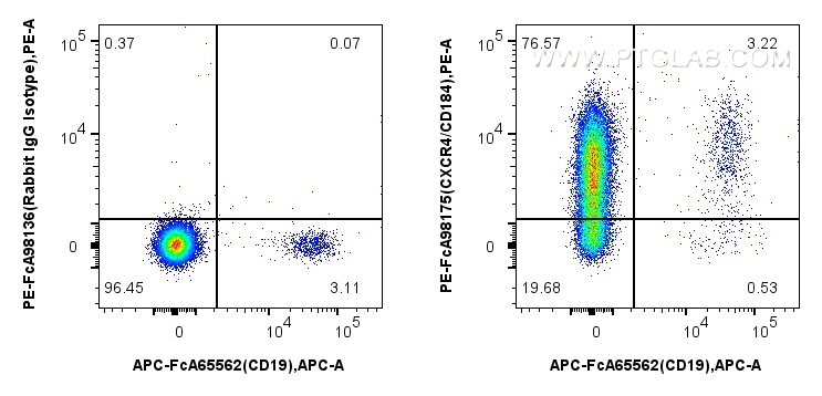 Flow cytometry (FC) experiment of human PBMCs using FcZero-rAb™ PE Anti-Human CXCR4/CD184 Rabbit Recom (PE-FcA98175)