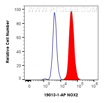 Flow cytometry (FC) experiment of MCF-7 cells using NOX2 Polyclonal antibody (19013-1-AP)