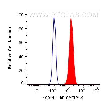 Flow cytometry (FC) experiment of Jurkat cells using CYFIP1/2 Polyclonal antibody (16011-1-AP)