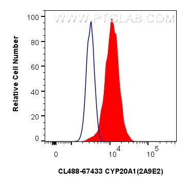 Flow cytometry (FC) experiment of HeLa cells using CoraLite® Plus 488-conjugated CYP20A1 Monoclonal a (CL488-67433)