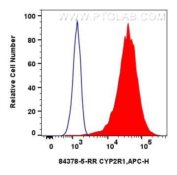 Flow cytometry (FC) experiment of Hela cells using CYP2R1 Recombinant antibody (84378-5-RR)