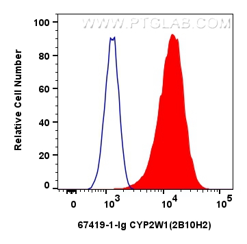 Flow cytometry (FC) experiment of HUVEC cells using CYP2W1 Monoclonal antibody (67419-1-Ig)