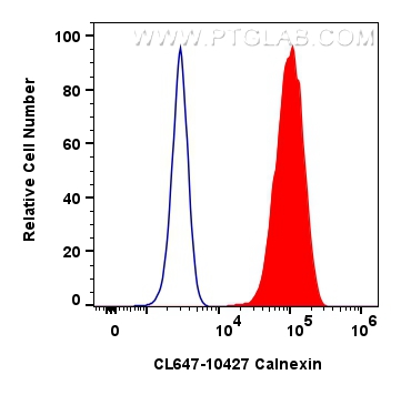 Flow cytometry (FC) experiment of HeLa cells using CoraLite® Plus 647-conjugated Calnexin Polyclonal  (CL647-10427)