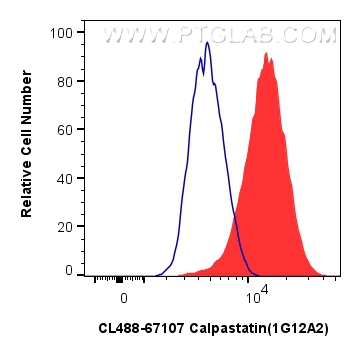 Flow cytometry (FC) experiment of HeLa cells using CoraLite® Plus 488-conjugated Calpastatin Monoclon (CL488-67107)