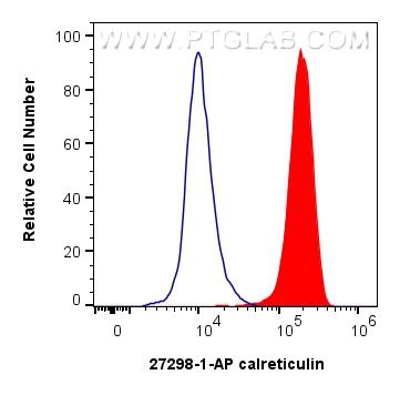 Flow cytometry (FC) experiment of HeLa cells using calreticulin Polyclonal antibody (27298-1-AP)