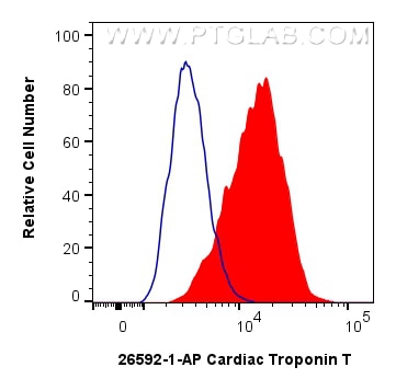 Flow cytometry (FC) experiment of H9C2 cells using Cardiac Troponin T Polyclonal antibody (26592-1-AP)