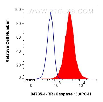 Flow cytometry (FC) experiment of Jurkat cells using Caspase 1 Recombinant antibody (84735-1-RR)