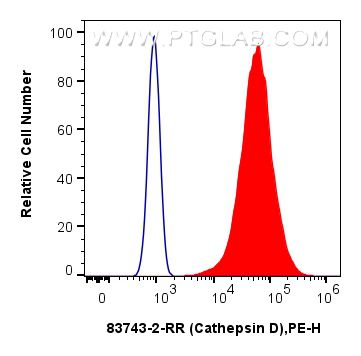 Flow cytometry (FC) experiment of MCF-7 cells using Cathepsin D Recombinant antibody (83743-2-RR)