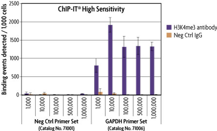 PCR analysis showing successful ChIP using samples from 1,000 cells