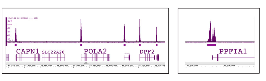 ChIP-Seq data using Histone H3K4me3