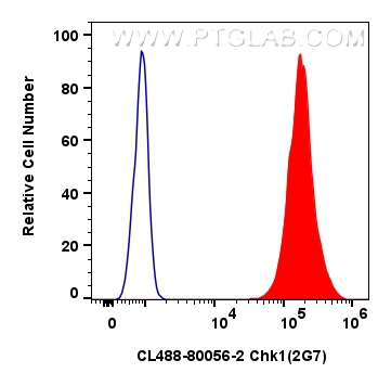 Flow cytometry (FC) experiment of HEK-293T cells using CoraLite® Plus 488-conjugated Chk1 Recombinant ant (CL488-80056-2)