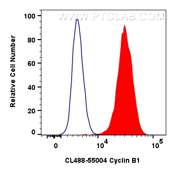 Flow cytometry (FC) experiment of HeLa cells using CoraLite® Plus 488-conjugated Cyclin B1 Polyclonal (CL488-55004)