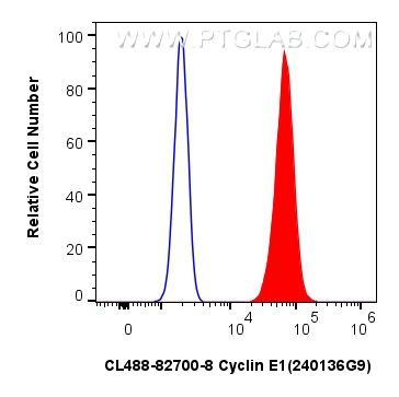 Flow cytometry (FC) experiment of HeLa cells using CoraLite® Plus 488-conjugated Cyclin E1 Recombinan (CL488-82700-8)