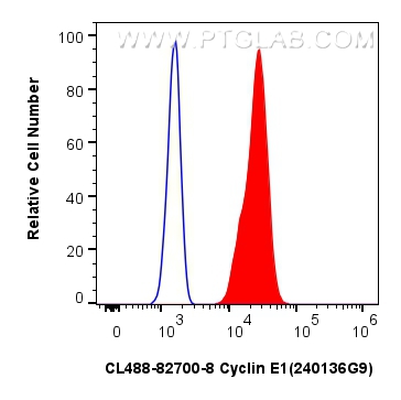 Flow cytometry (FC) experiment of MCF-7 cells using CoraLite® Plus 488-conjugated Cyclin E1 Recombinan (CL488-82700-8)