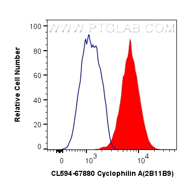 Flow cytometry (FC) experiment of HeLa cells using CoraLite®594-conjugated Cyclophilin A Monoclonal a (CL594-67880)