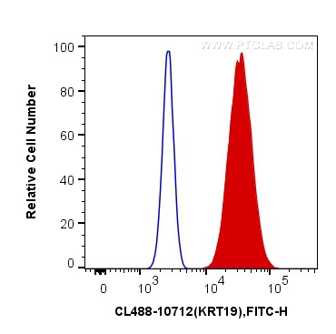 Flow cytometry (FC) experiment of MCF-7 cells using CoraLite® Plus 488-conjugated Cytokeratin 19 Polyc (CL488-10712)