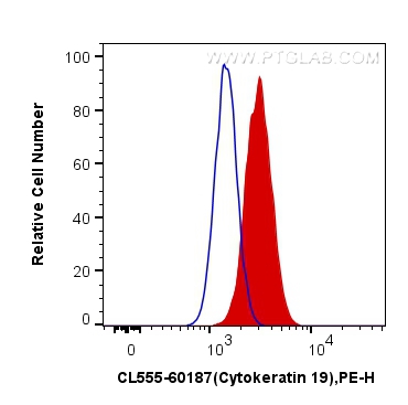 Flow cytometry (FC) experiment of HeLa cells using CoraLite®555-conjugated Cytokeratin 19 Monoclonal  (CL555-60187)