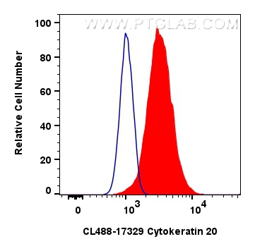 Flow cytometry (FC) experiment of HT-29 cells using CoraLite® Plus 488-conjugated Cytokeratin 20 Polyc (CL488-17329)