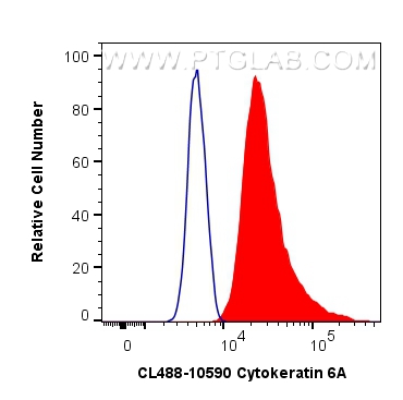 Flow cytometry (FC) experiment of A431 cells using CoraLite® Plus 488-conjugated Cytokeratin 6A Polyc (CL488-10590)