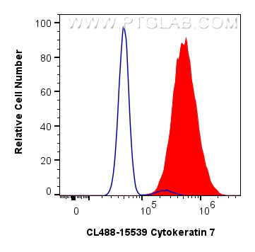 Flow cytometry (FC) experiment of HeLa cells using CoraLite® Plus 488-conjugated Cytokeratin 7 Polycl (CL488-15539)