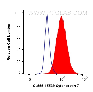 Flow cytometry (FC) experiment of HeLa cells using CoraLite®555-conjugated Cytokeratin 7 Polyclonal a (CL555-15539)