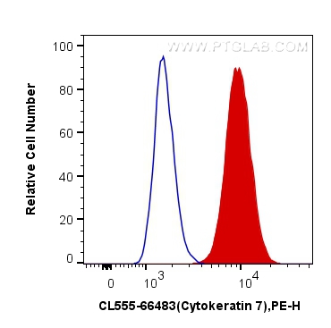 Flow cytometry (FC) experiment of HeLa cells using CoraLite®555-conjugated Cytokeratin 7 Monoclonal a (CL555-66483)