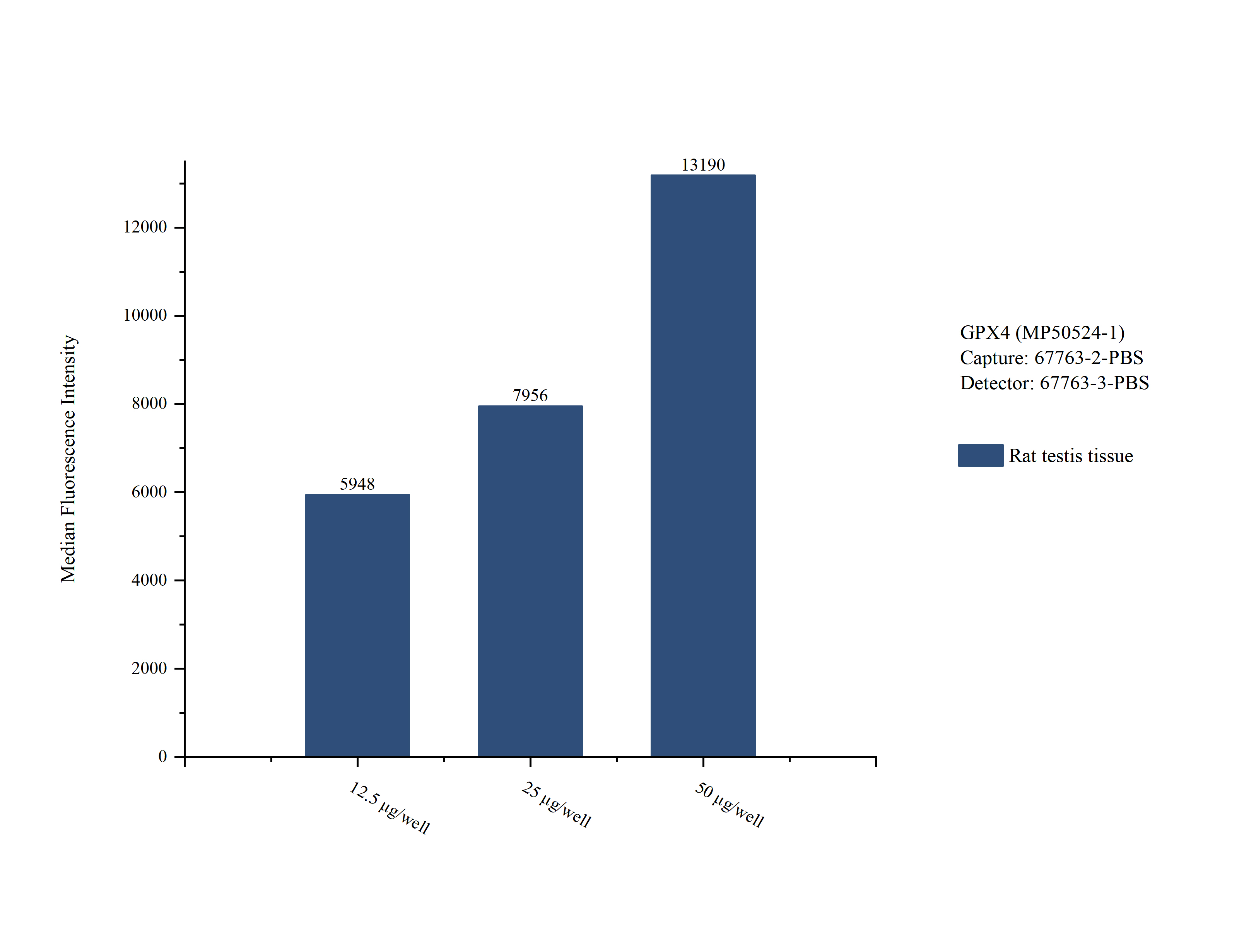Cytometric bead array sample test of MP50524-1