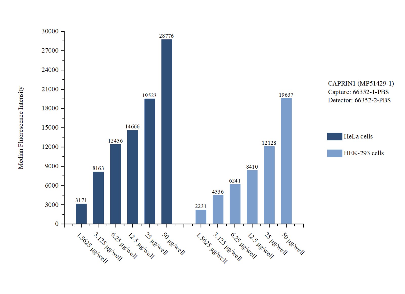 Cytometric bead array sample test of MP51429-1