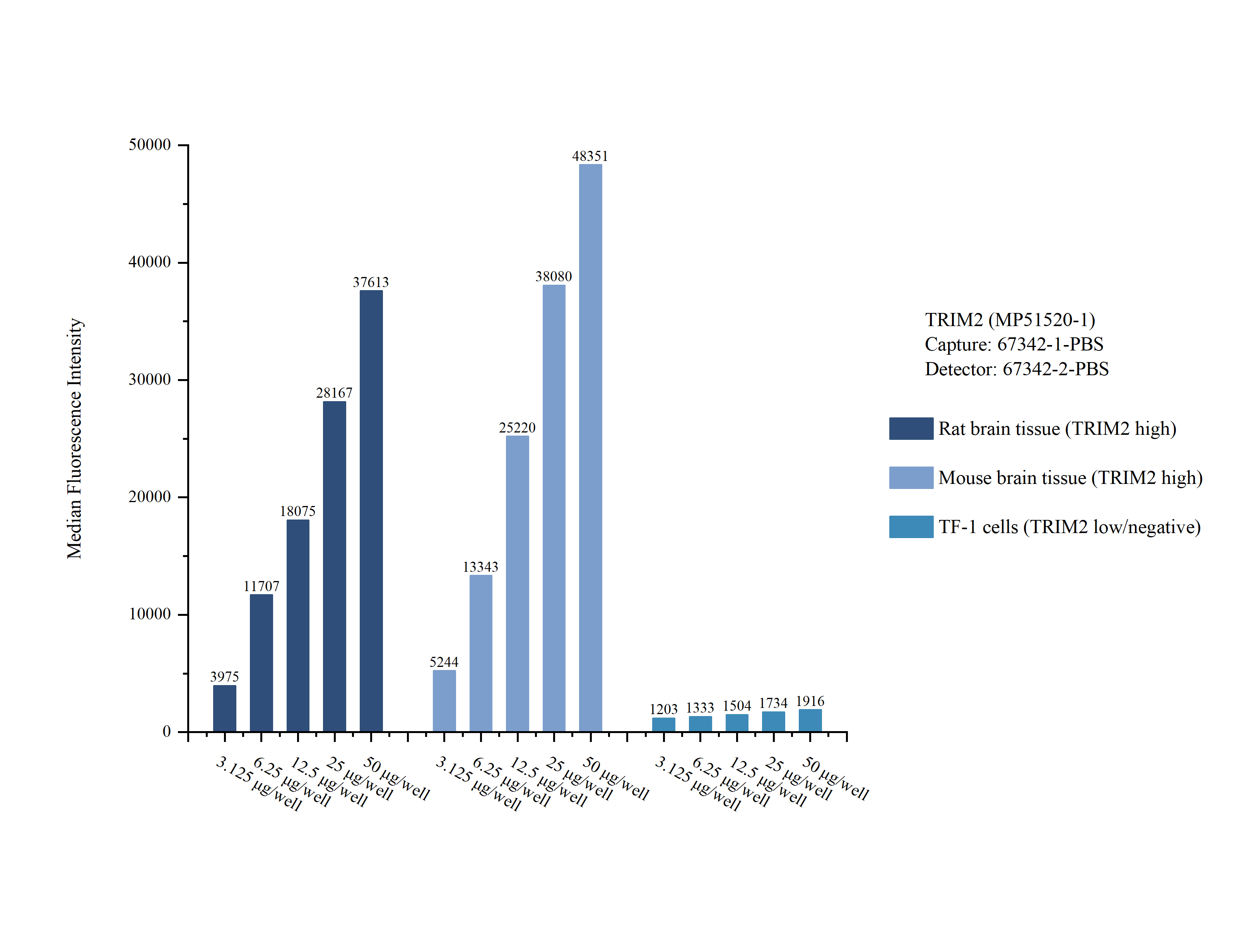 Cytometric bead array sample test of MP51520-1