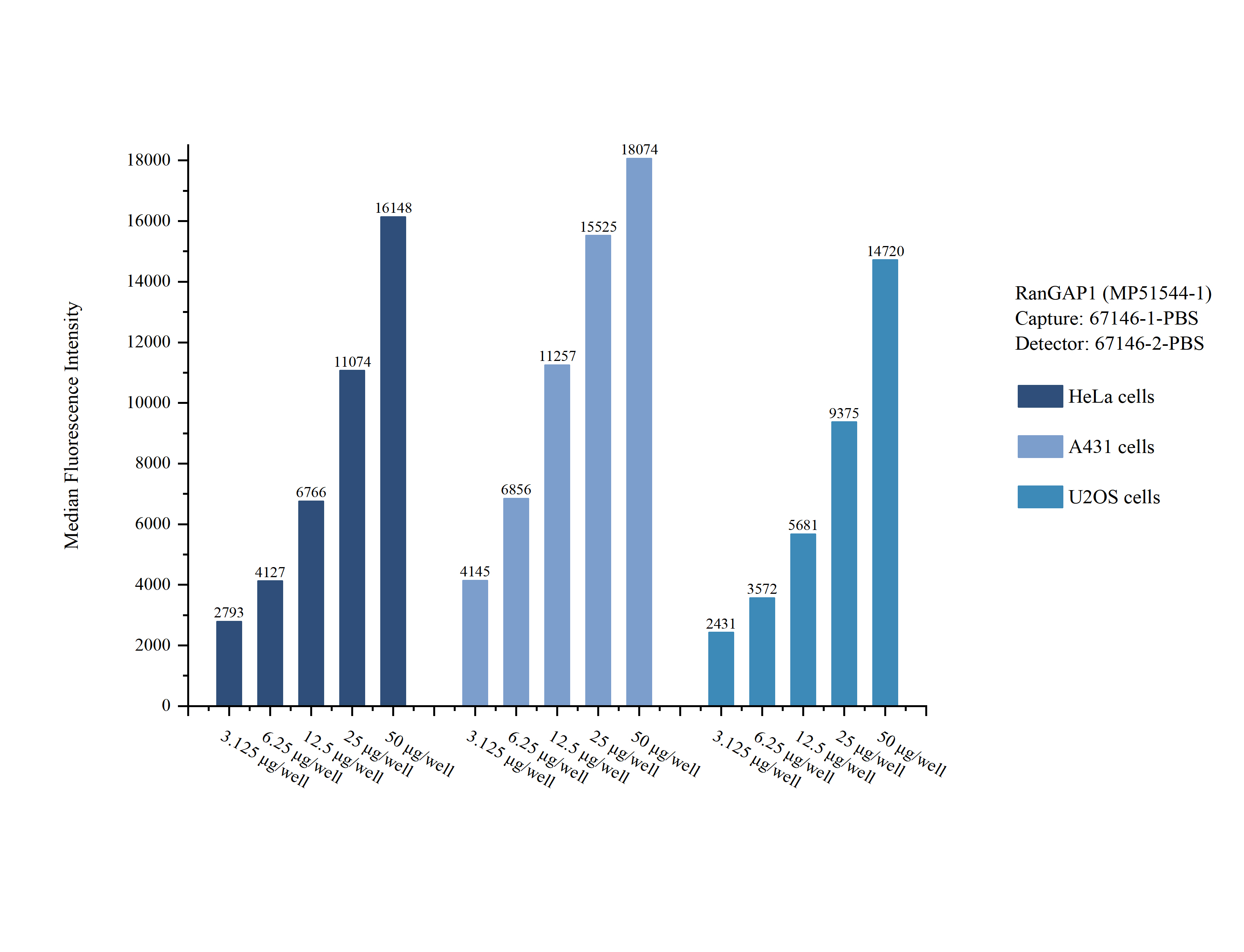 Cytometric bead array sample test of MP51544-1